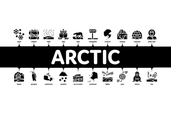 Arctic and Antarctic Minimal Infographic: Visualizing Polar Data with Clarity