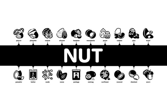 Nut Food Different Minimal Infographic Design Guide