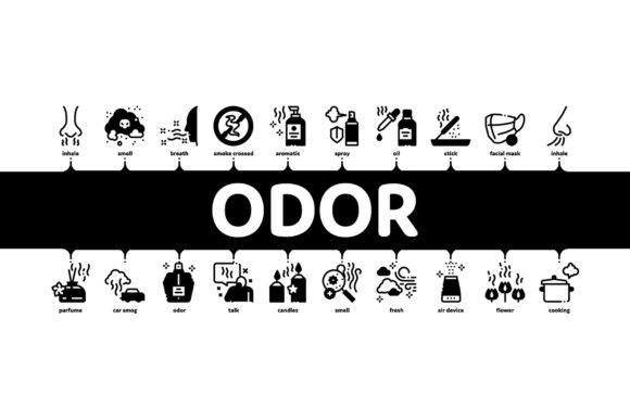Odor Aroma and Smell Minimal Infographic Design